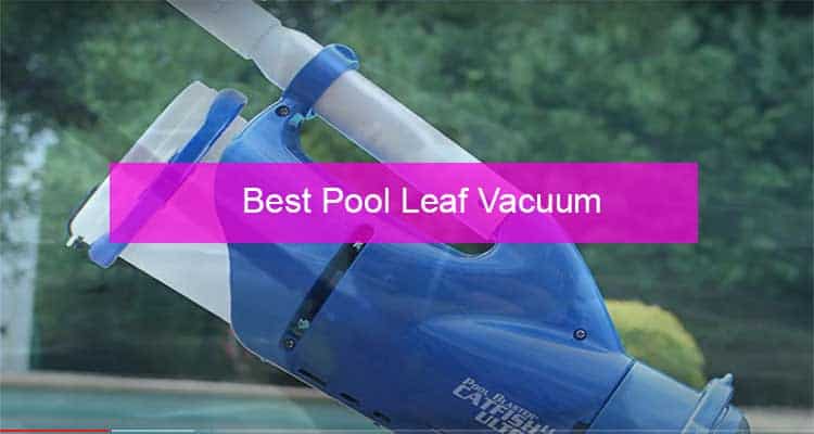 Best Pool Leaf Vacuum